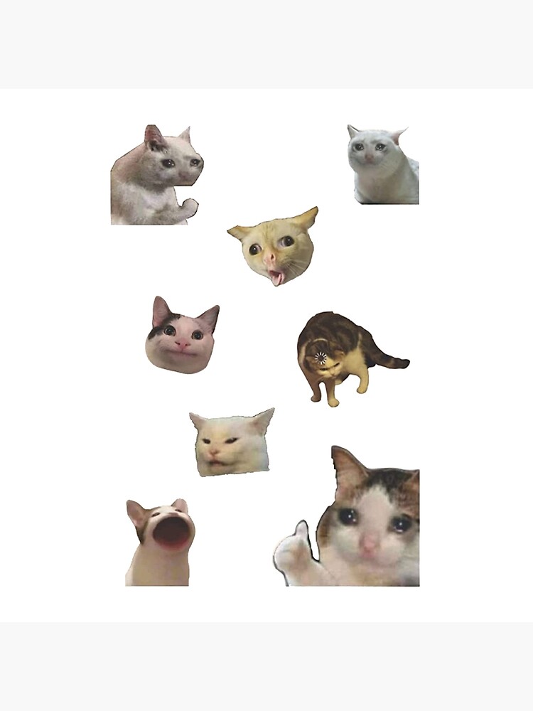 packs  Cat icon, Cat aesthetic, Cute cats