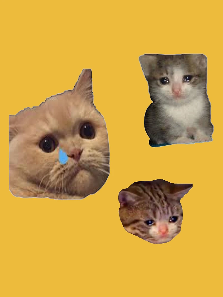 Cat Meme Mask Bundle of 2 Meme Angry Woman Vs Cat Face Mask Crying Cat Meme  Meme Mask Funny Cat Face Mask Meme Face Mask Cat Meme -  Israel