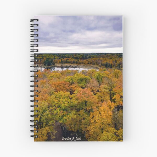 Item preview, Paisaje de color otoñal de ensueño por Brandon Cable designed and sold by BrandonArtWorld.