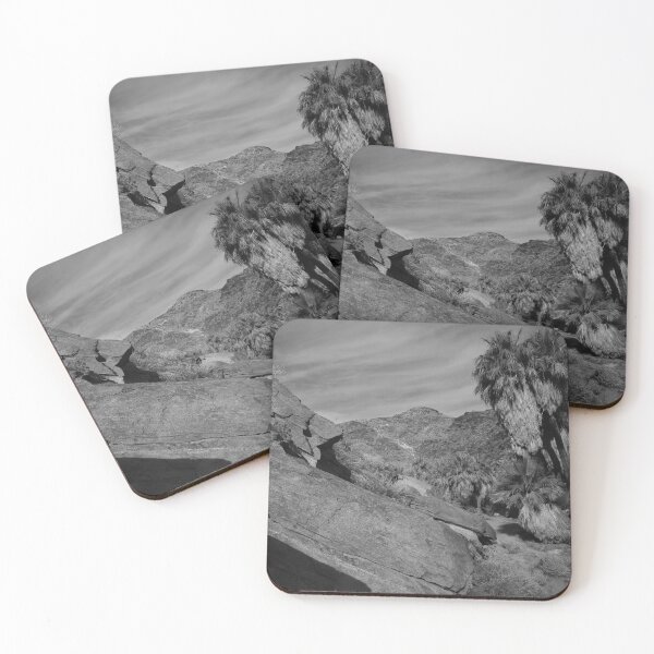 Item preview, Desert Rockscape with Fan Palms designed and sold by outdoorstudio.