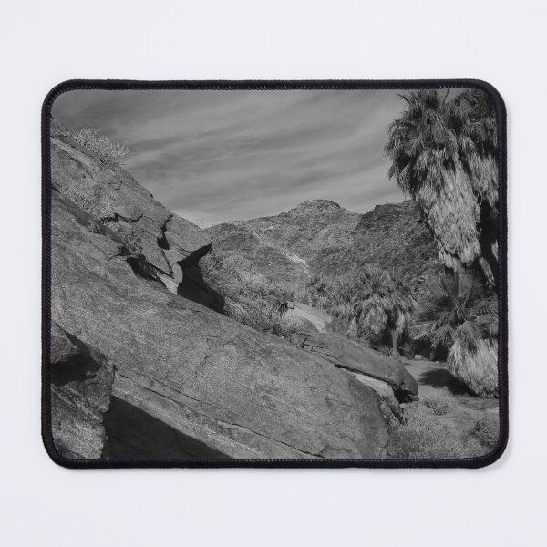 Item preview, Desert Rockscape with Fan Palms designed and sold by outdoorstudio.