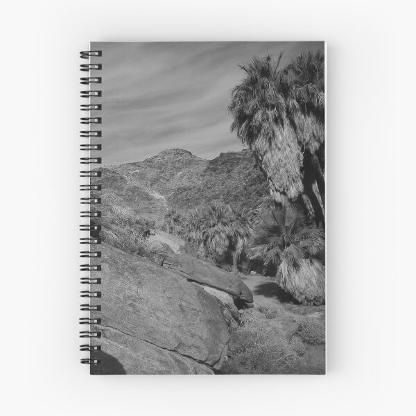 Item preview, Desert Rockscape with Fan Palms designed and sold by outdoorstudio.