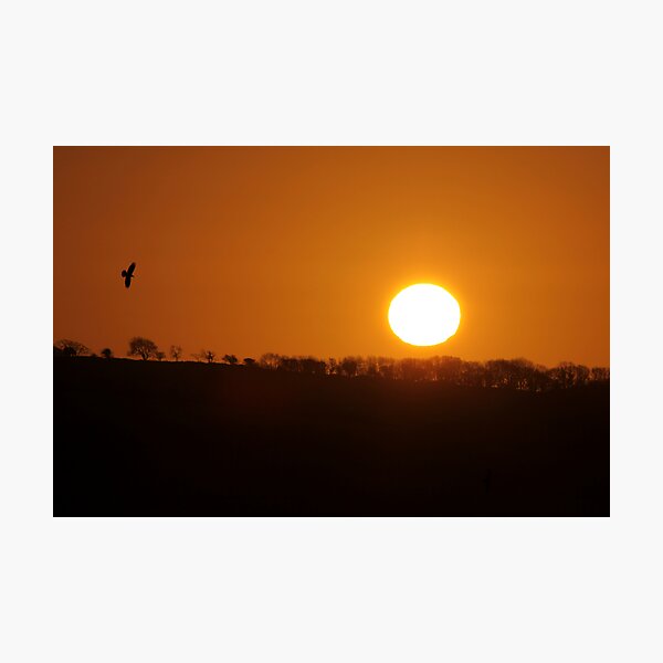 Item preview, heart of the sunrise designed and sold by Steiner62.