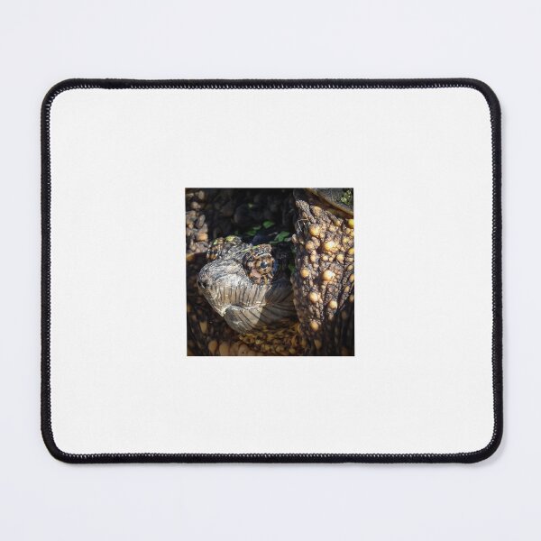 Item preview, Snapping Turtle Close UP By Brandon Cable designed and sold by BrandonArtWorld.