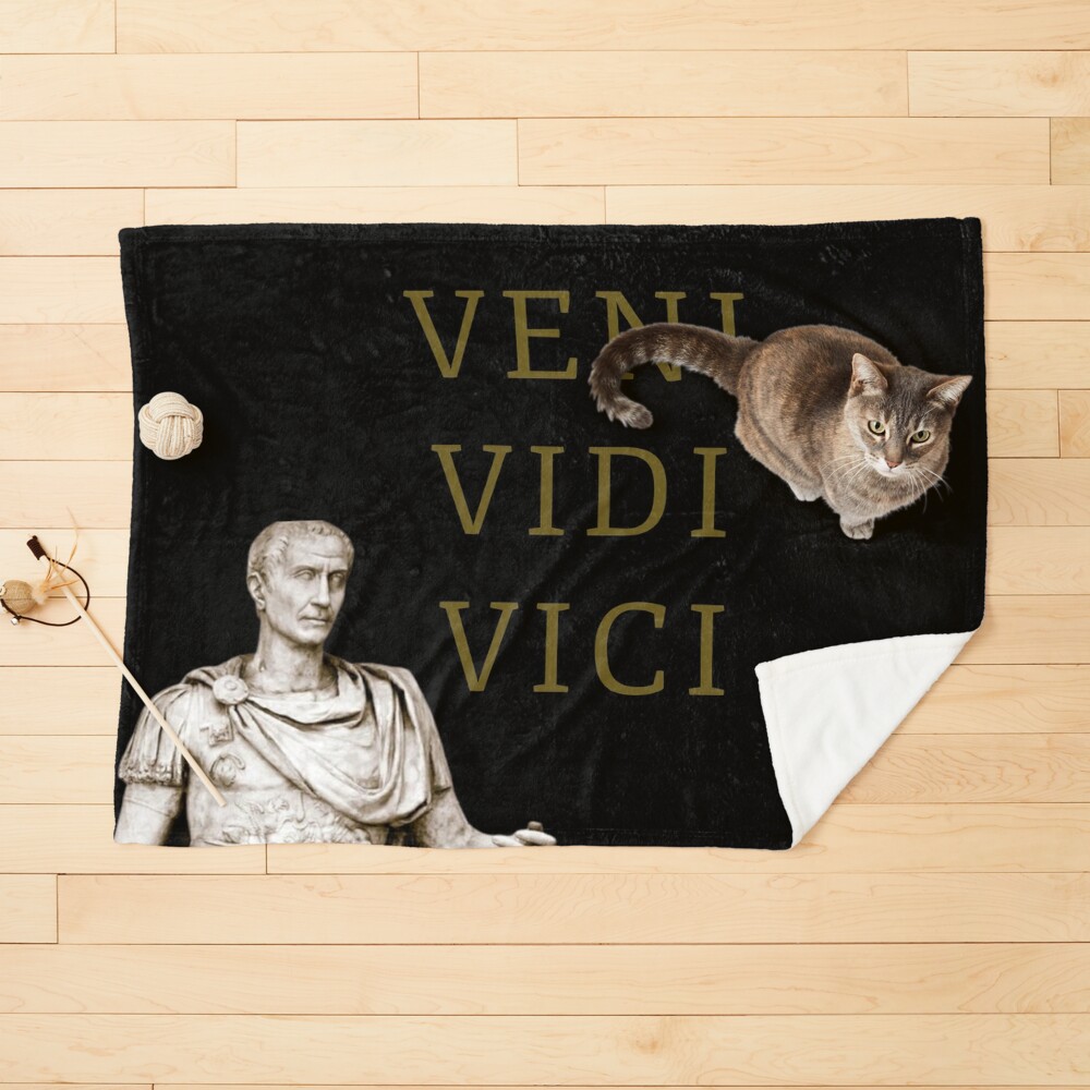 Veni Vidi Vici I Came I Saw I Conquered Hand Stamped 