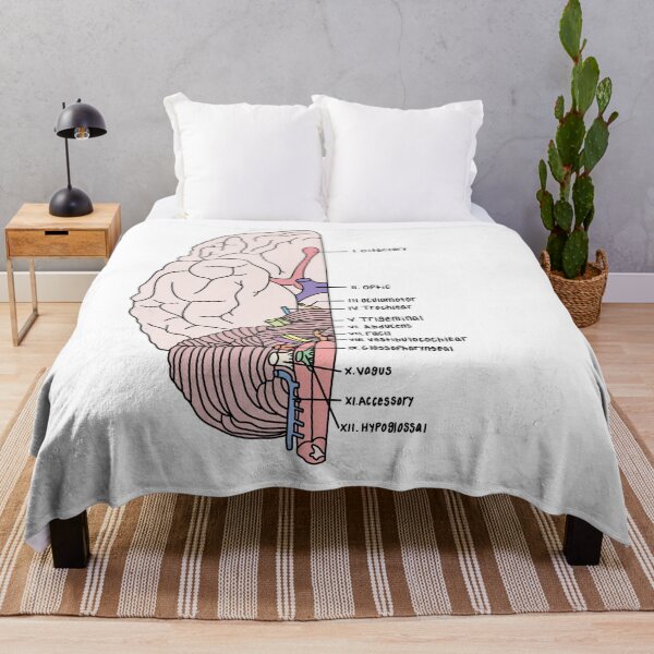 Item preview, Labeled Cranial Nerves  designed and sold by Katherine Winner.