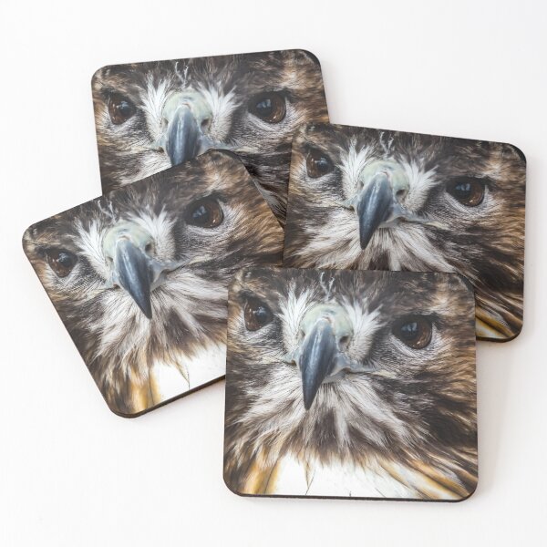 Item preview, Hawk Close Up By Brandon Cable  designed and sold by BrandonArtWorld.