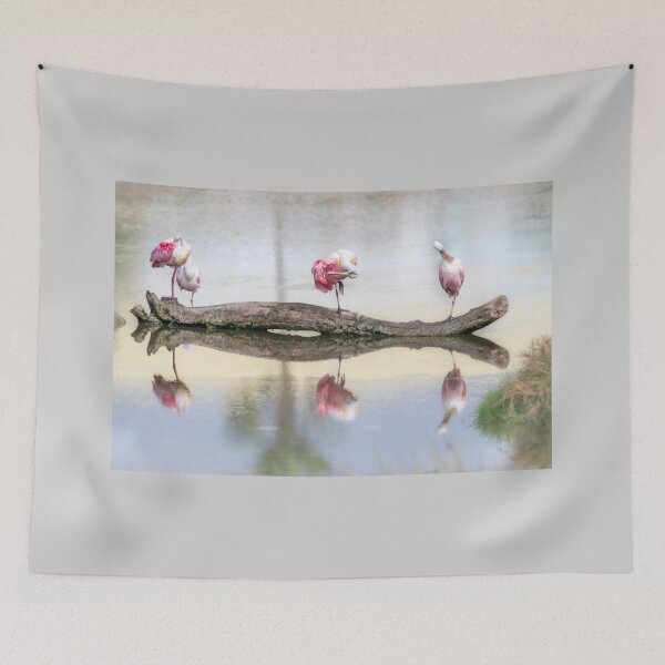 Item preview, Roseate Spoonbills Preening and Resting  designed and sold by Debra Martz.