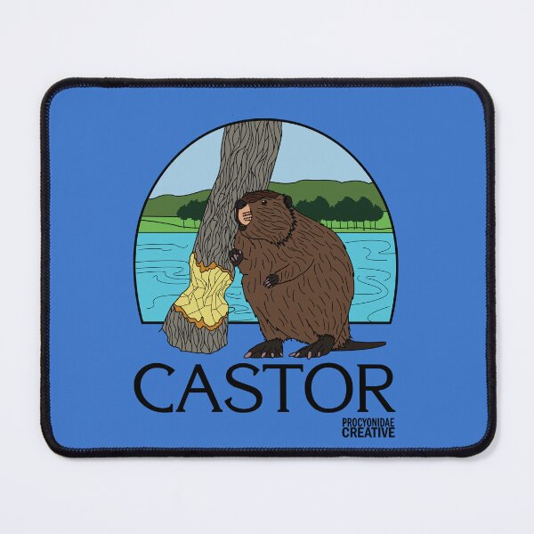 Item preview, Castor, Arquitecto del Ecosistema 2 designed and sold by Procyonidae Creative.