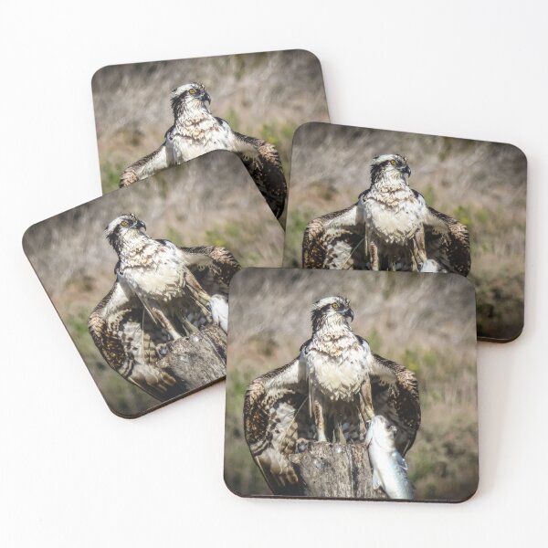 Item preview, Osprey after the Catch by Brandon Cable  designed and sold by BrandonArtWorld.