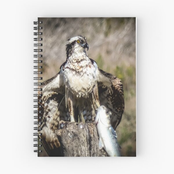 Item preview, Osprey after the Catch by Brandon Cable  designed and sold by BrandonArtWorld.