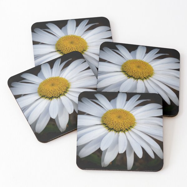 Item preview, Daisy en blanco Por Brandon Cable designed and sold by BrandonArtWorld.
