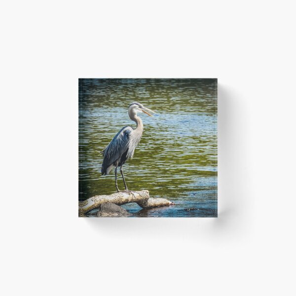 Item preview, Blue Herring By Brandon Cable designed and sold by BrandonArtWorld.