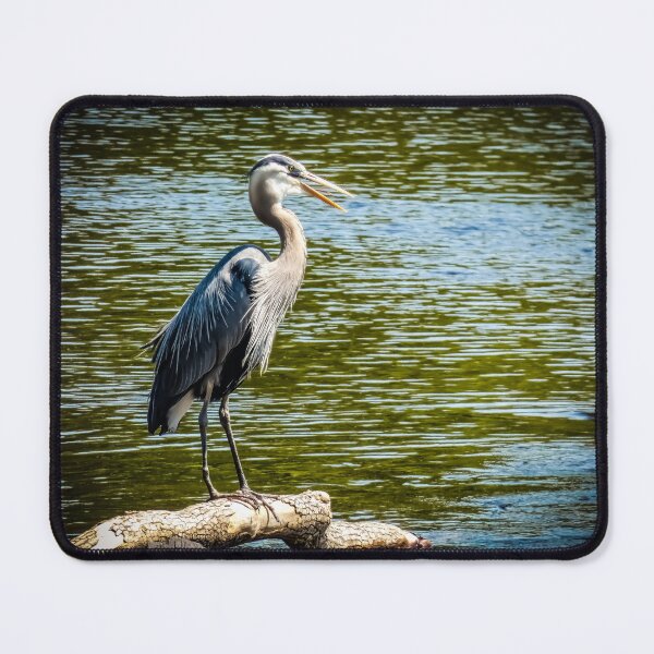 Item preview, Blue Herring By Brandon Cable  designed and sold by BrandonArtWorld.
