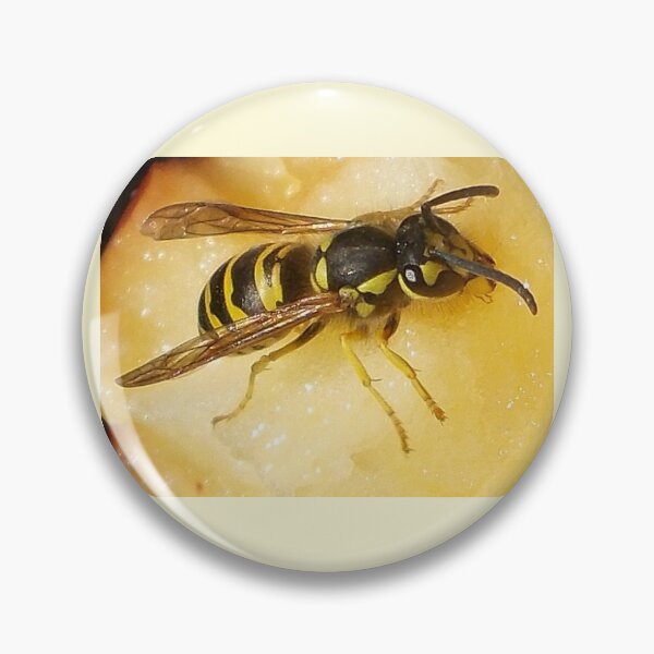 Item preview, Bee on Apple - Original Photography designed and sold by JulienneJc.