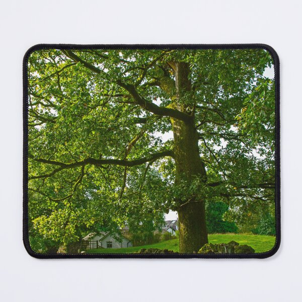 Item preview, Tree with Dry Stone Wall designed and sold by Brian Shaw.