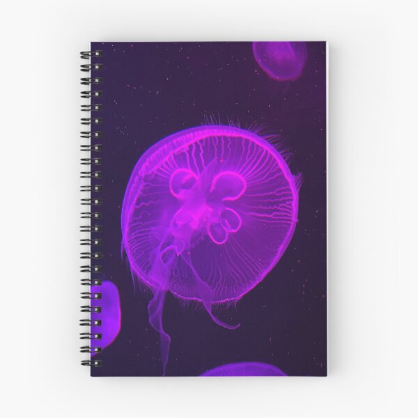 Item preview, Colorful Cnidaria  designed and sold by Pisces-Pics.