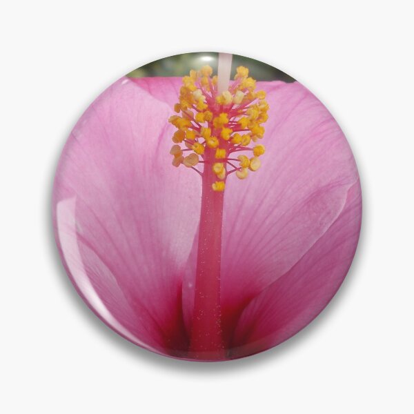 Aperçu de l'œuvre Pink Hibiscus Flower - Original Photography créée et vendue par JulienneJc.