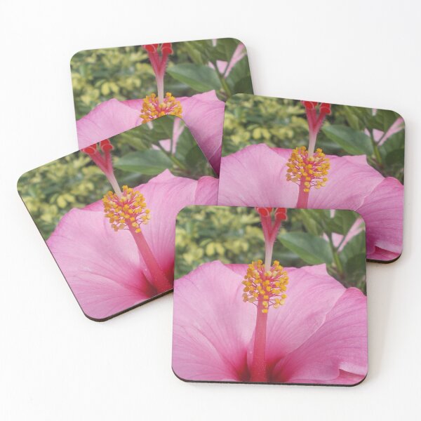 Item preview, Pink Hibiscus Flower - Original Photography designed and sold by JulienneJc.