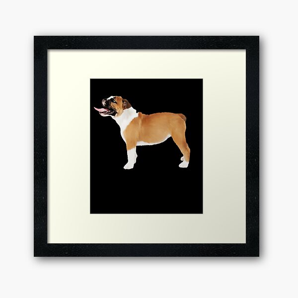 Artikel-Vorschau von American Bulldog, Dog Lover , designt und verkauft von dukito.