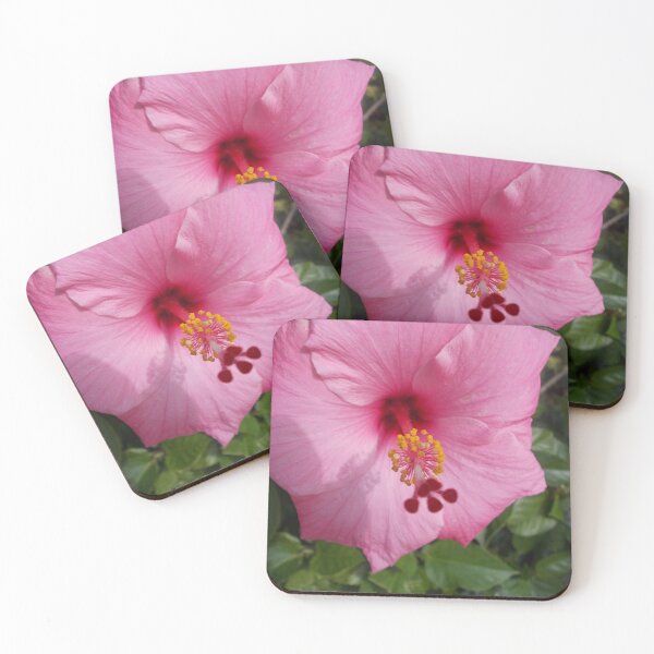 Item preview, Pink Hibiscus - Original Photography designed and sold by JulienneJc.