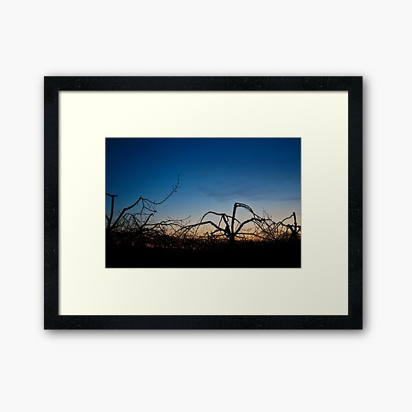 Johnny Apple Seed Framed Art Print