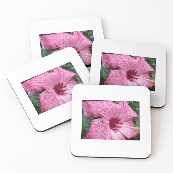 Item preview, Pink Hibiscus with Raindrops - Original Photography designed and sold by JulienneJc.