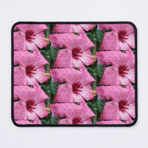 Item preview, Pink Hibiscus with Raindrops - Original Photography designed and sold by JulienneJc.