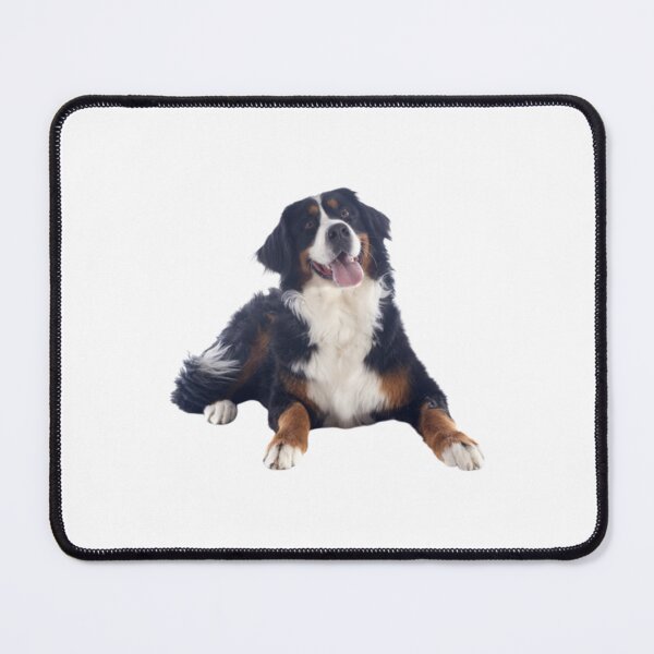 Item preview, Cute Bernese Mountain Dog - Berner Sennenhund - Funny Berner Design - Bernese Cattle Dog designed and sold by BHM Shirts.