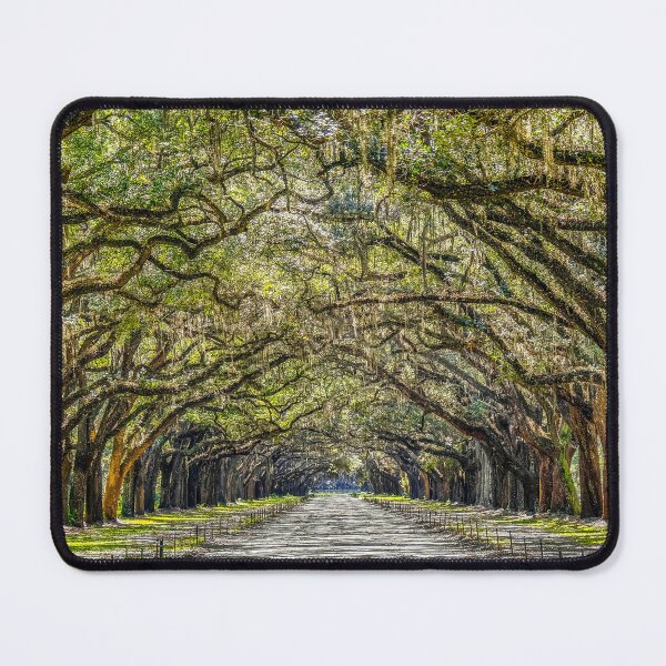 Item preview, Oak Tree Avenue designed and sold by dbvirago.