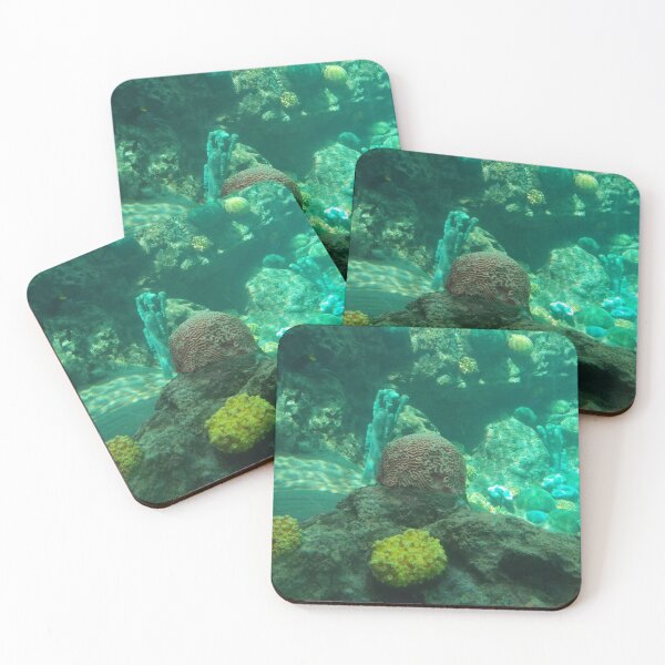 Item preview, Under Water - Original Photography designed and sold by JulienneJc.
