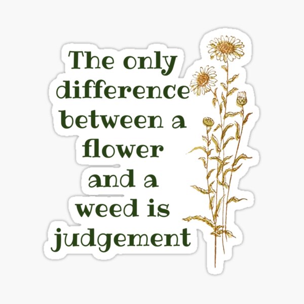 "The Only Difference Between a Flower and a Weed is Judgement! Gardener