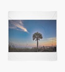 Palm Tree at Sunset Scarf