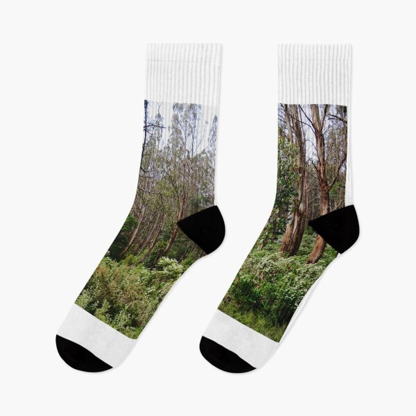 Item preview, The Black Spur designed and sold by D-GaP.