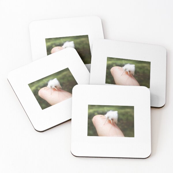 Item preview, White Fluffy Moth - Original Photography designed and sold by JulienneJc.