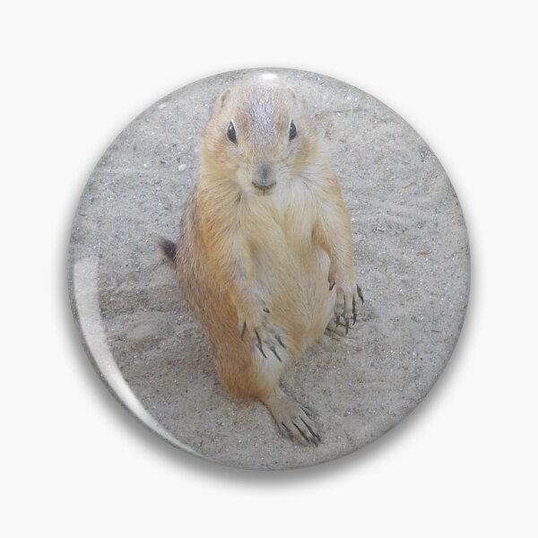 Item preview, Prairie Dog - Original Photography designed and sold by JulienneJc.