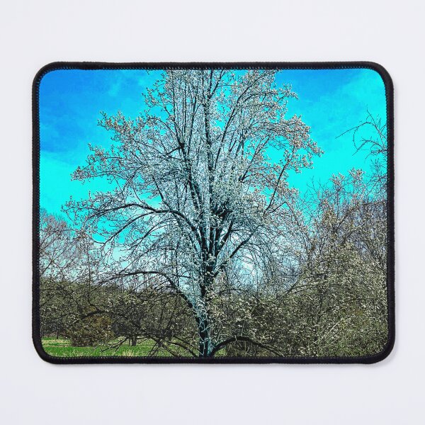 Item preview, Spring designed and sold by JayfeathersArt.