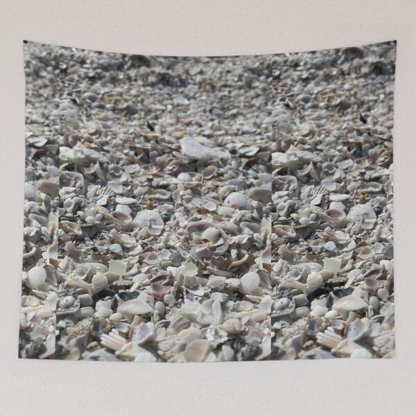 Item preview, Beach Seashells designed and sold by Psychedelic-Sap.