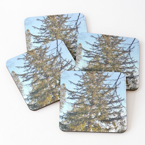Item preview, Coniferous  designed and sold by etherealwonders.