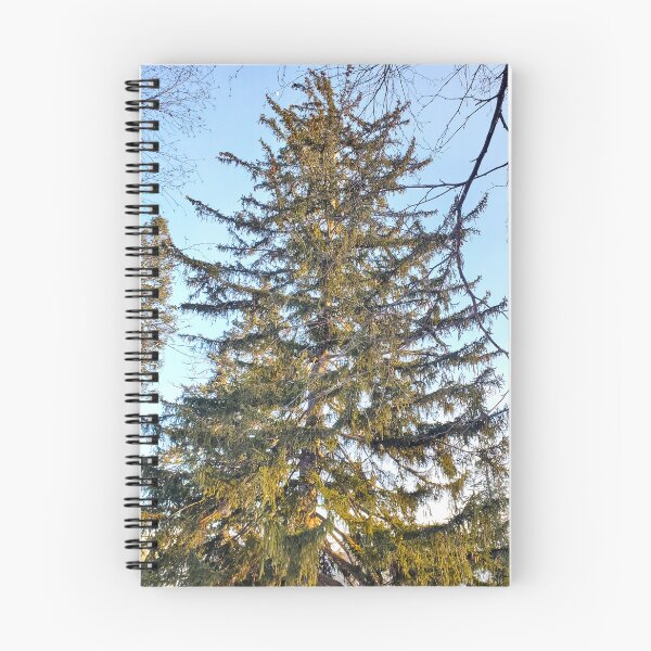 Item preview, Coniferous  designed and sold by etherealwonders.