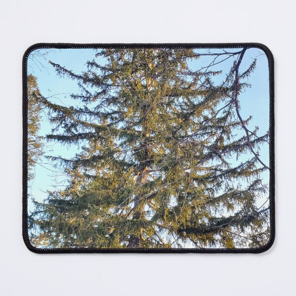 Item preview, Coniferous  designed and sold by etherealwonders.