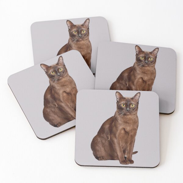 Item preview, Burmese Cat designed and sold by RainbowSpinkle.