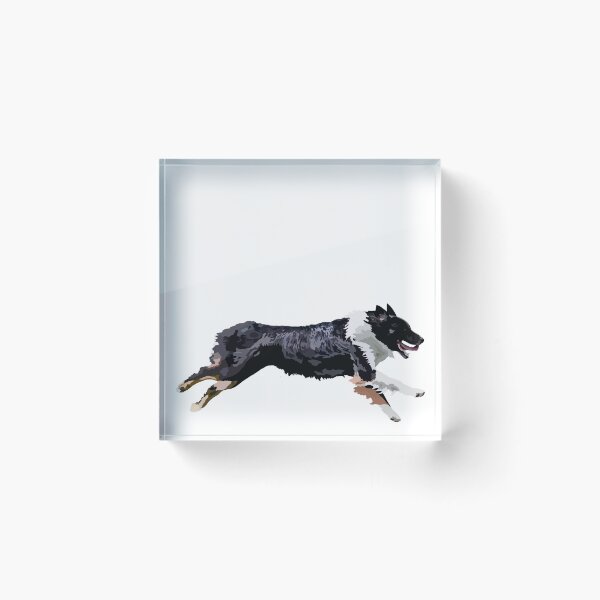 Item preview, Tri Colored Mini American Shepherd “Pocus” designed and sold by MC Cranberry.