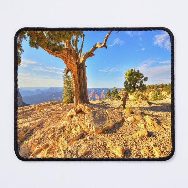 Item preview, The Indomitable Juniper designed and sold by JohnDSmith.