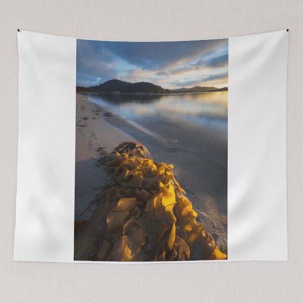 Item preview, Seaweed designed and sold by Geoff Wols.