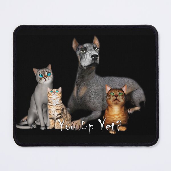 Item preview, You Up Yet? designed and sold by Patricia Brown.