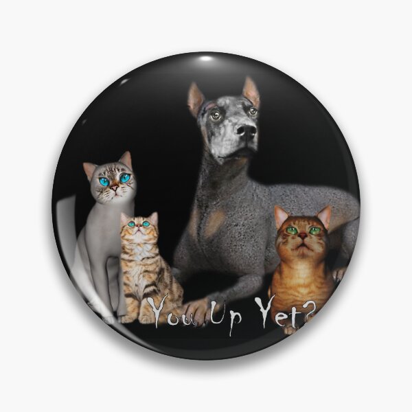 Item preview, You Up Yet? designed and sold by Patricia Brown.