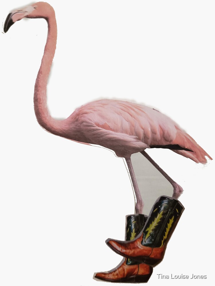 Flamingo cowboy cheap boots