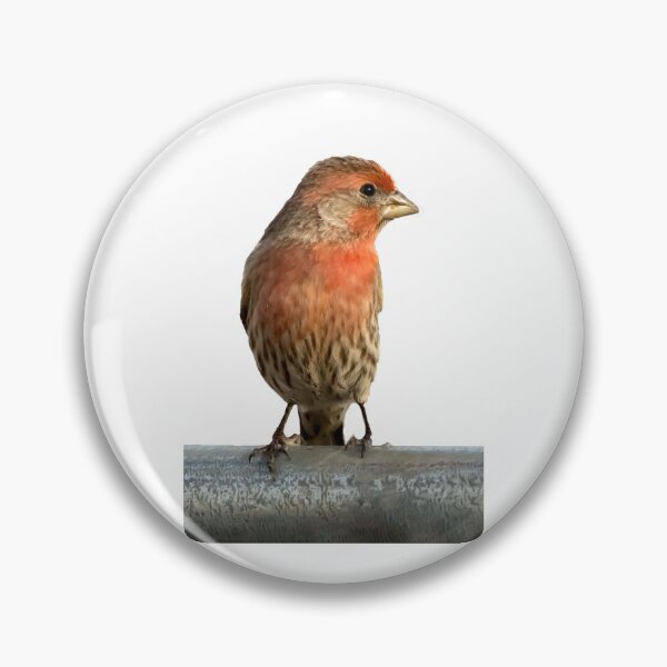 Item preview, Male house finch on a fence designed and sold by KRFNatureGifts.