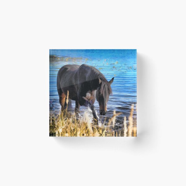 Item preview, Percheron Thoroughbred Horse Artwork designed and sold by NaturePrints.